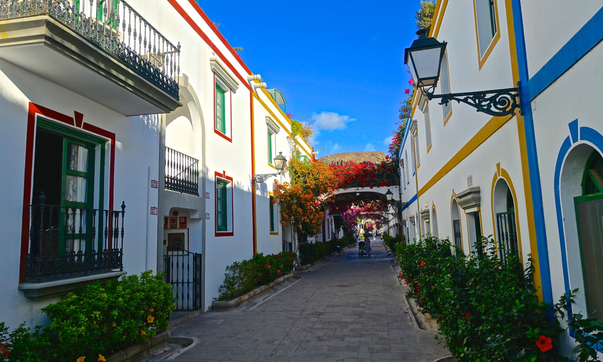 DSC00330