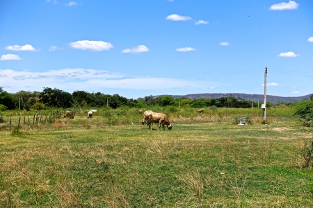 DSC00407