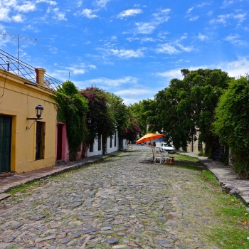 DSC00480