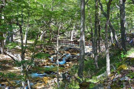 DSC00600