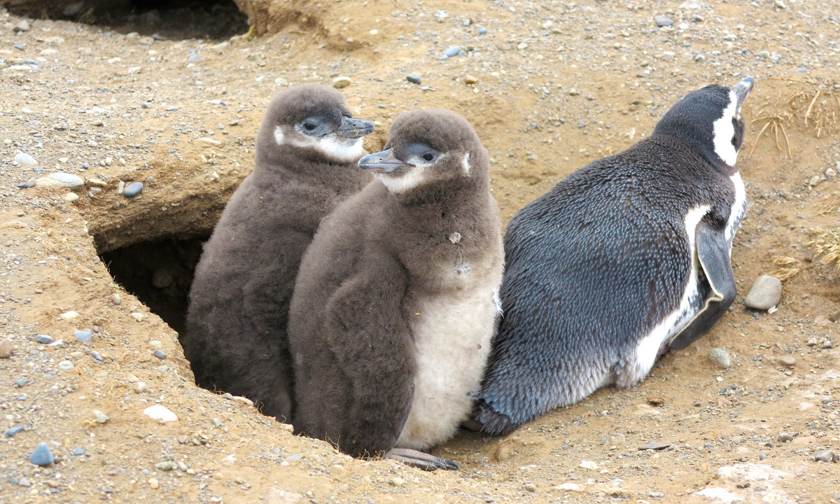 IMG_8219