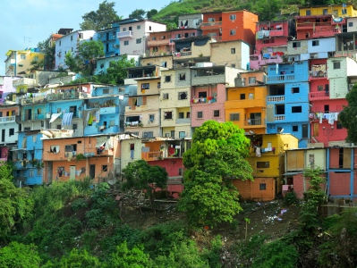 IMG_0196